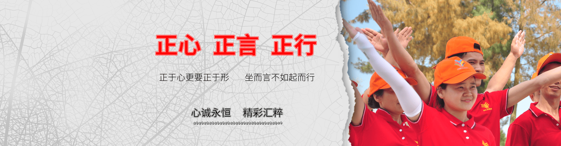 企业文化banner@凡科快图.png